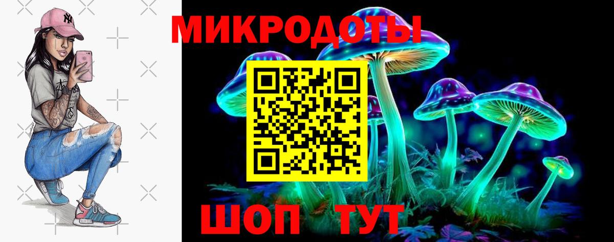 как найти   Галлюциногенные грибы прущие грибы  Вход с VPN  Йошкар-Ола 